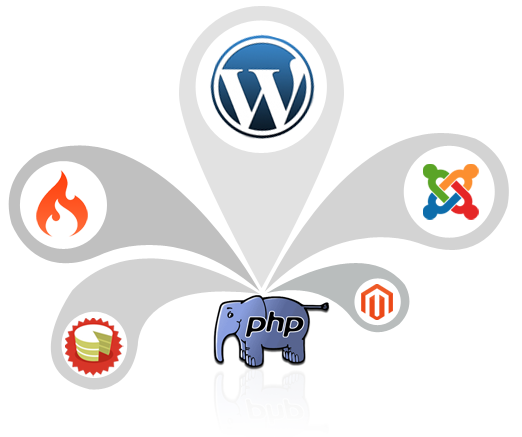 php website development services in gurgaon