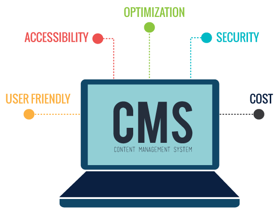 custom cms development  company in gurgaon