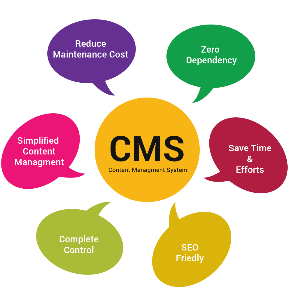 custom cms development services in gurgaon
